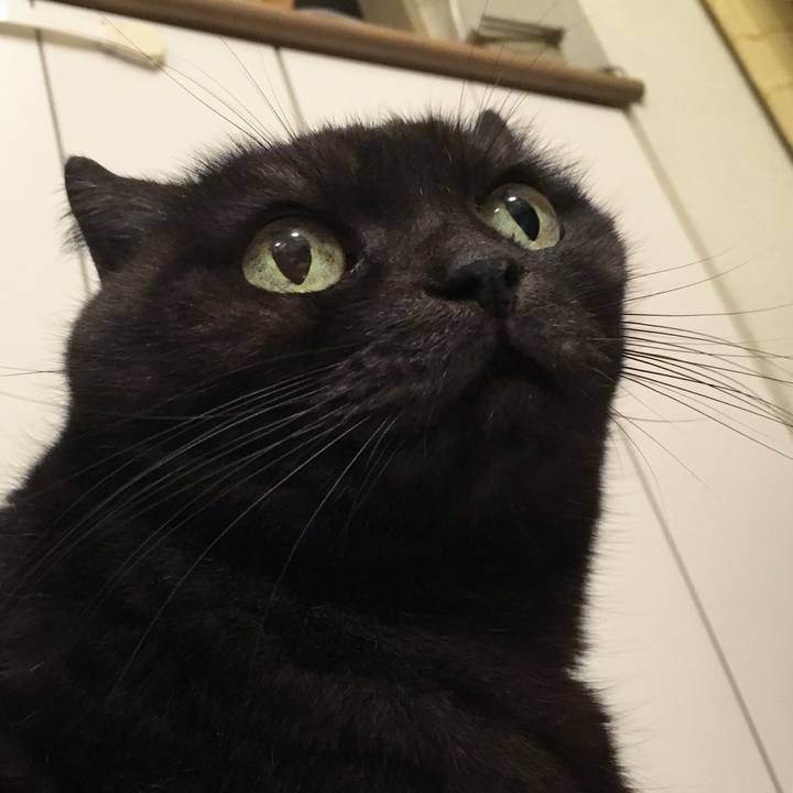 4e30998e ec8c 4b3c 8e32 b2458019cbae 1544806446759