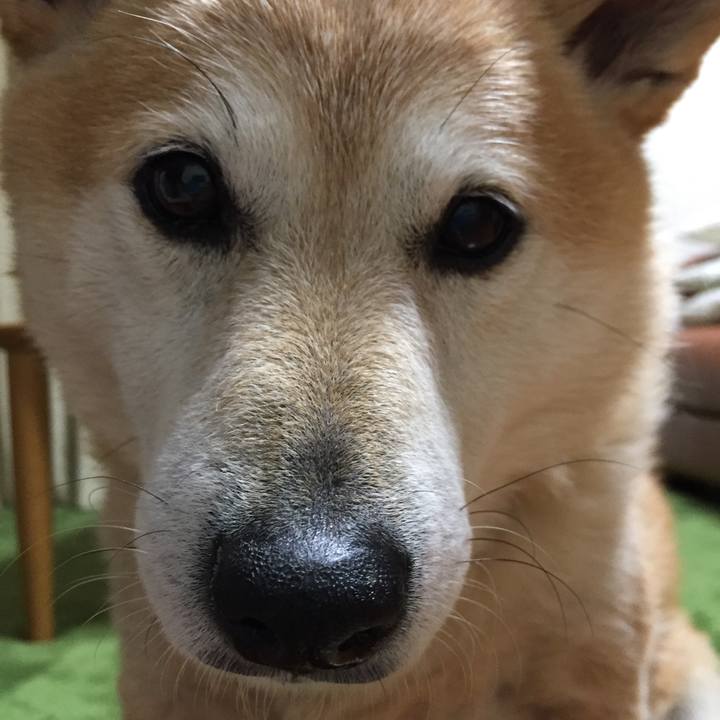 4e30a086 c52a 4c22 a374 dc9d8de7fc0e 1523718601233