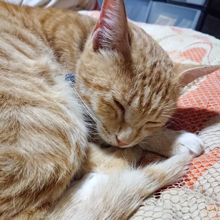 4e30afae 7fc9 48e2 a25a adfc5dab119e 1561817329790