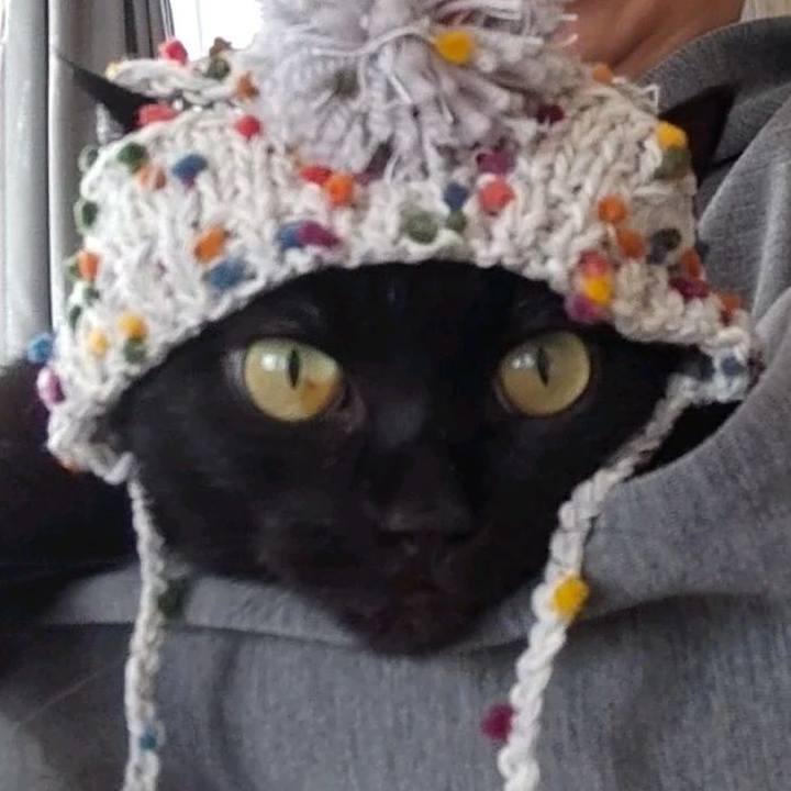 4e30c61b f23b 44f9 af2d 8a91a740e075 1667373123961