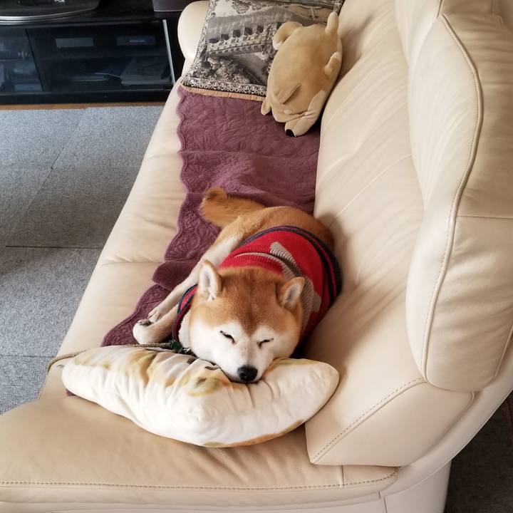 4e30e484 a3f2 4b95 b634 47d73dac0359 1609988774227