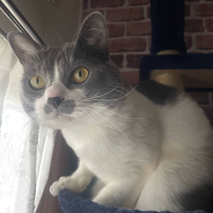 4e31068e 297e 43b2 aad1 ec4a0e894202 1670895503434