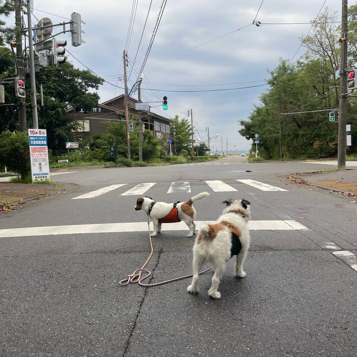 4e31245a 7492 4eea 9f1e 42eac63c67e9 1695250685088