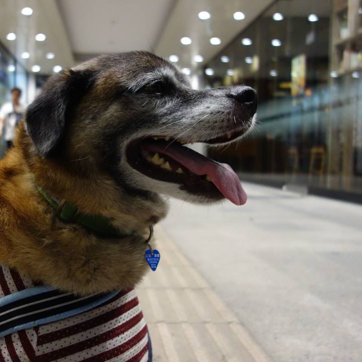 4e31525c a2c6 48db 8057 c08d2e1ef22f 1531653533402