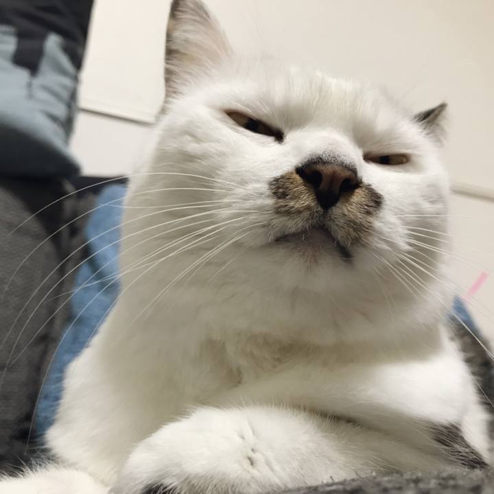 4e315a9f 3ed5 4de9 bfc3 ec59ddb506d4 1540783677142