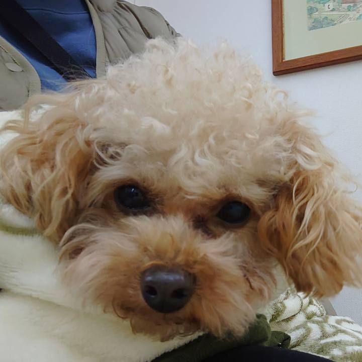 4e317f1e c812 4bdb 8425 26dcf6399107 1769407728564