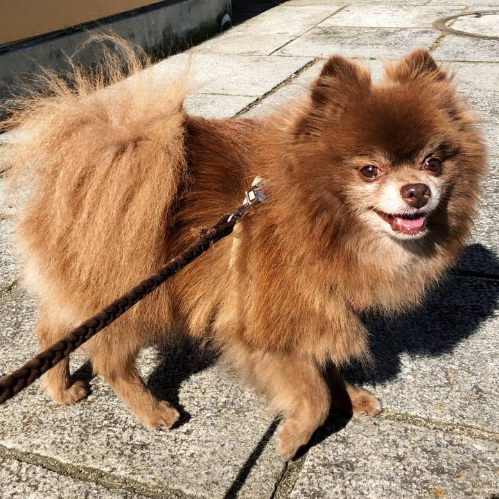 4e318de1 d382 45be ac64 0f82ec643d15 1537321287210