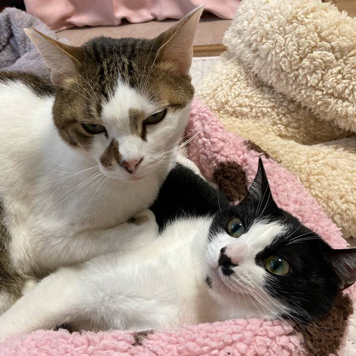 4e3196e5 a5ee 4bca 9d4e 8099cbe7e080 1609476858348