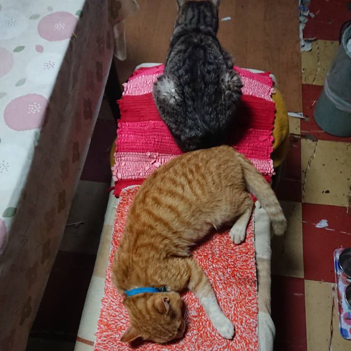 4e319bc2 db1a 4698 9b80 553be12d6d0a 1555446490627