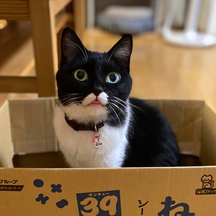 4e31baa2 d27e 45a0 a91b 707abab39ea0 1628987059647