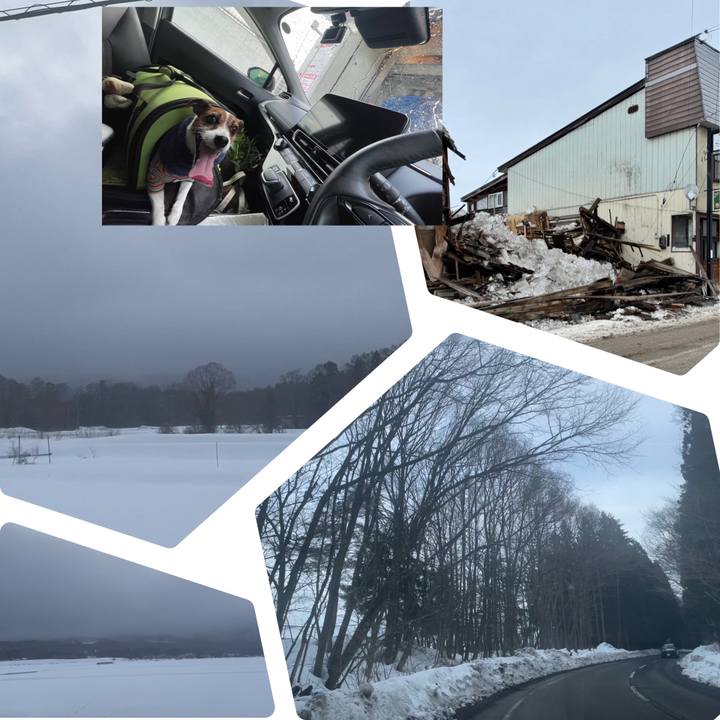 4e31d089 e4d1 4f8c 8bf6 7bc0c99841e6 1741260847925