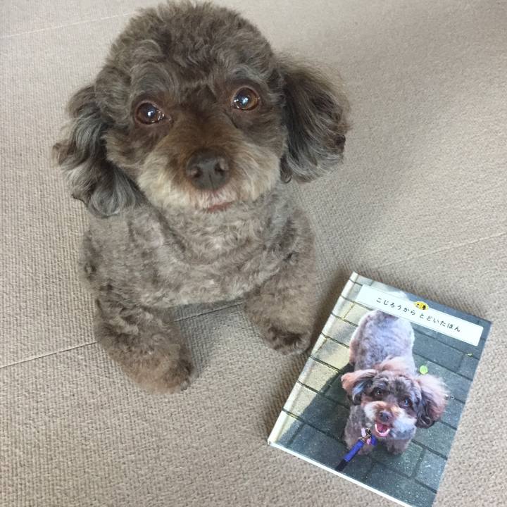 4e31dec9 03ea 4773 9abf d10cc6ff7643 1508758080287