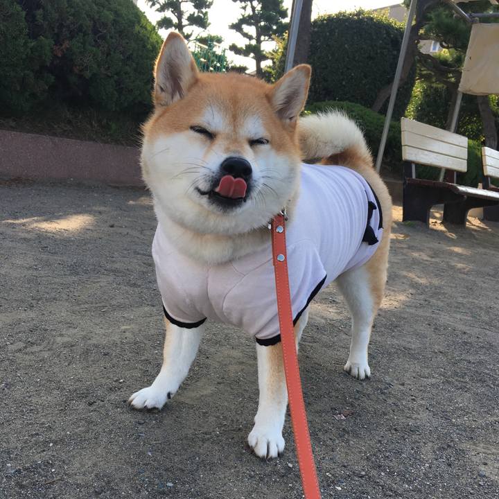 4e31e191 990e 4151 a3b2 9d0103d7139a 1569887783608