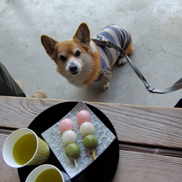 4e31ffac b9e4 43a9 904d 48c3020e09ff 1774178370471