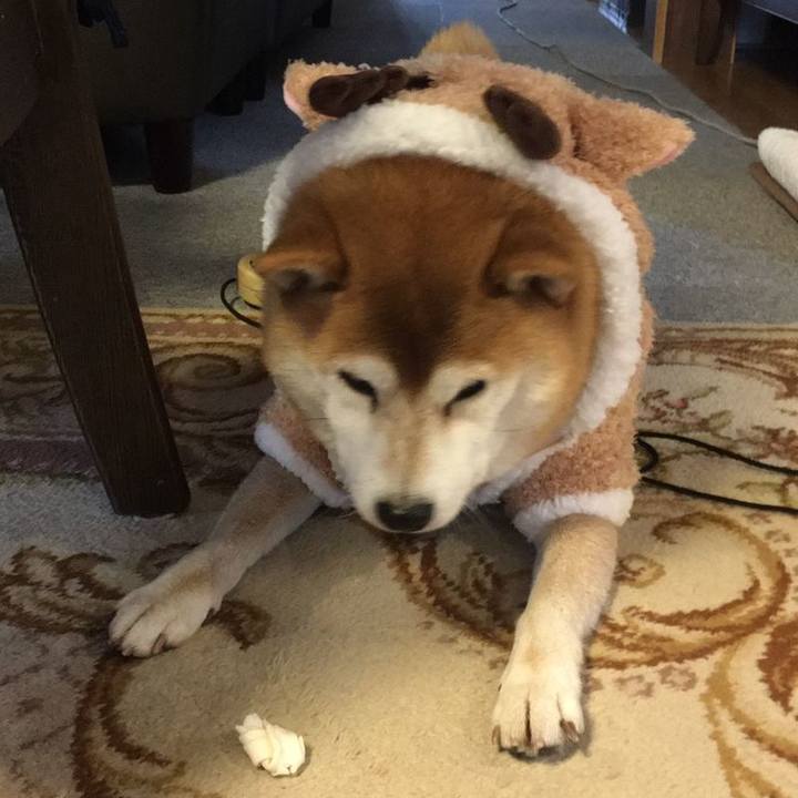 4e323a03 b04f 45eb 8a8c 320b2aecc94a 1577158661244