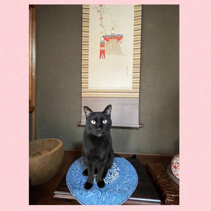 4e327750 816c 41cd 923b 68e687b1a96b 1772493009549