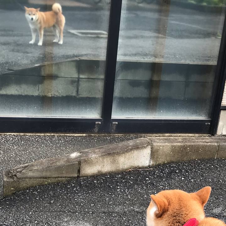 4e32e68e 0375 4050 ab83 312c8cb14ad4 1564412829382