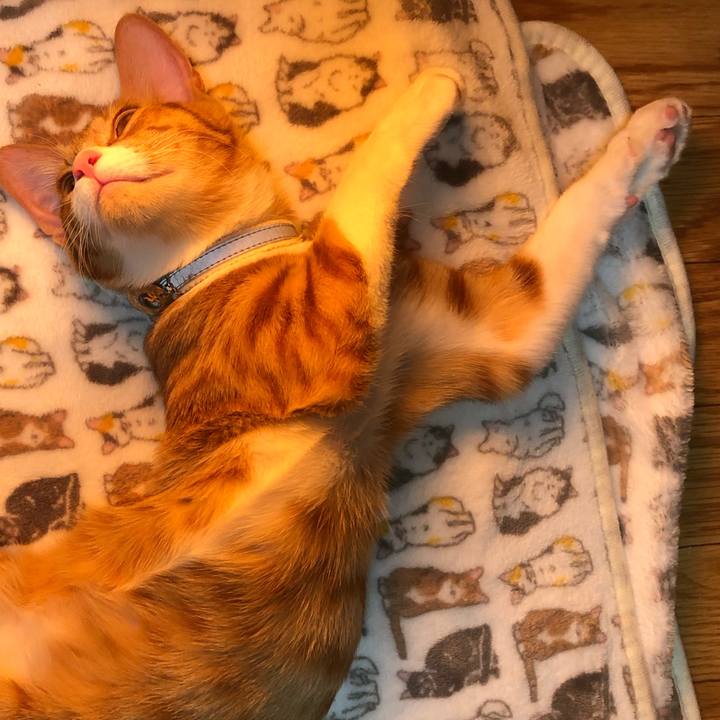 4e32fb74 e951 4c2b afcc 27248b413101 1547565907473