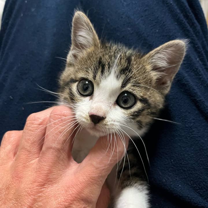 4e339a95 eee6 4ffa b994 14e18cb0bdfc 1765099630997