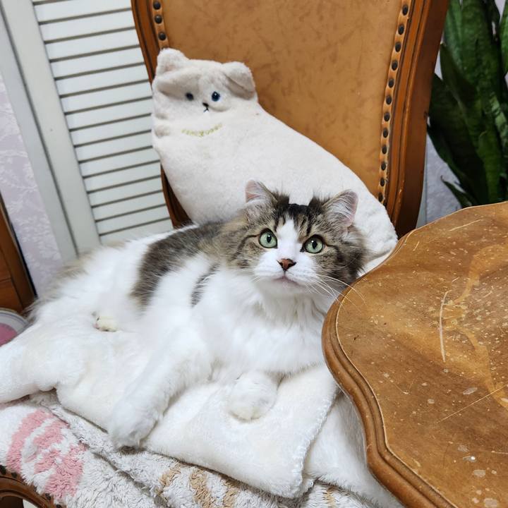 4e33fde2 8536 4a40 bae1 02efd41822cc 1740000735206