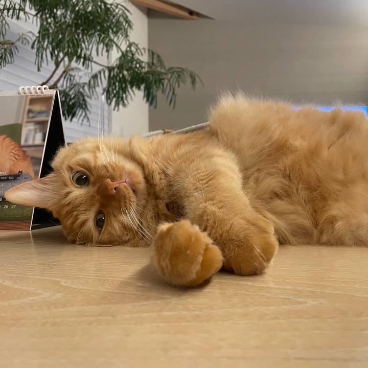 4e340925 9907 451a aab3 0d0639e74627 1773320421043