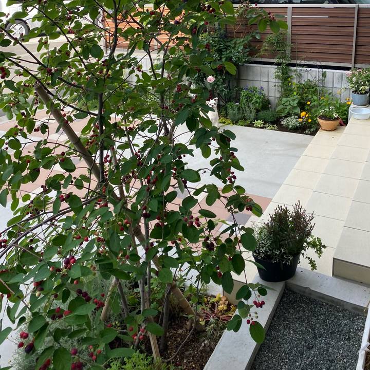 4e3478f7 44ef 4121 be29 88584af398bc 1653699720988