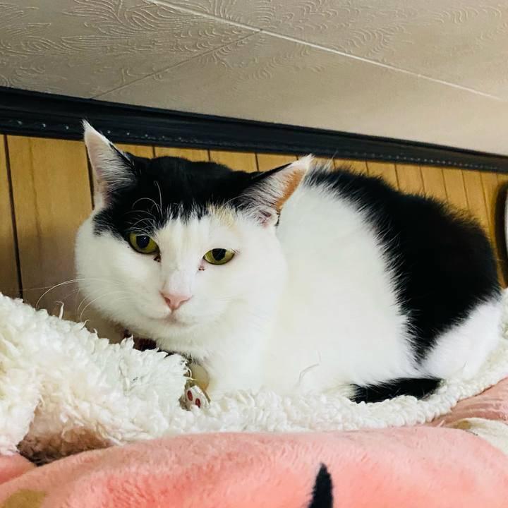 4e349fbe 4152 4492 a8aa 983e0022899b 1740830801747