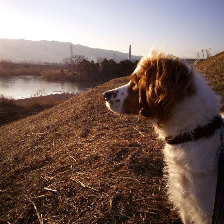 4e34abae 33c2 4ac0 92cf d9945c0d2aa9 1517877134038