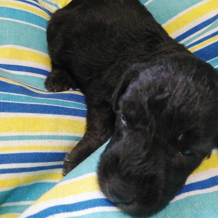 4e34b56c 06b7 4ec7 acff 9cc77228030d 1686119945479