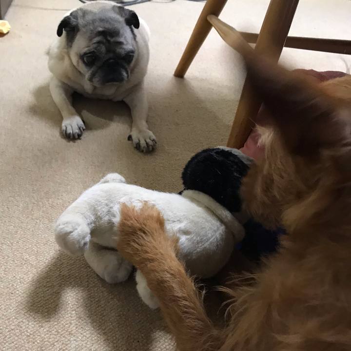 4e34b9ff 7a1b 4e1e b1a3 11405d0fa90c 1562942026309