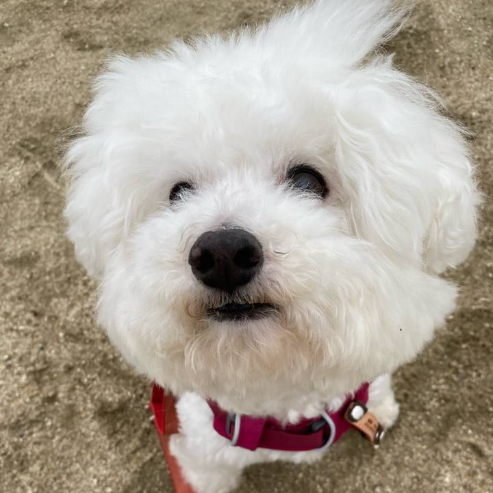 4e34c422 466d 4af7 bc6c a343a679f20e 1650923357827