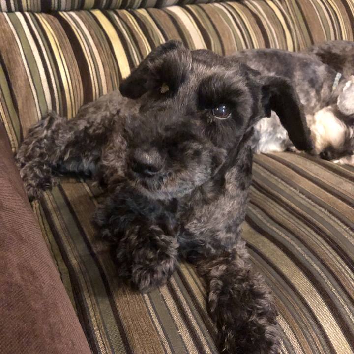 4e34f1d4 49e6 4b0b b1e3 9aaff110f6b6 1557868550193