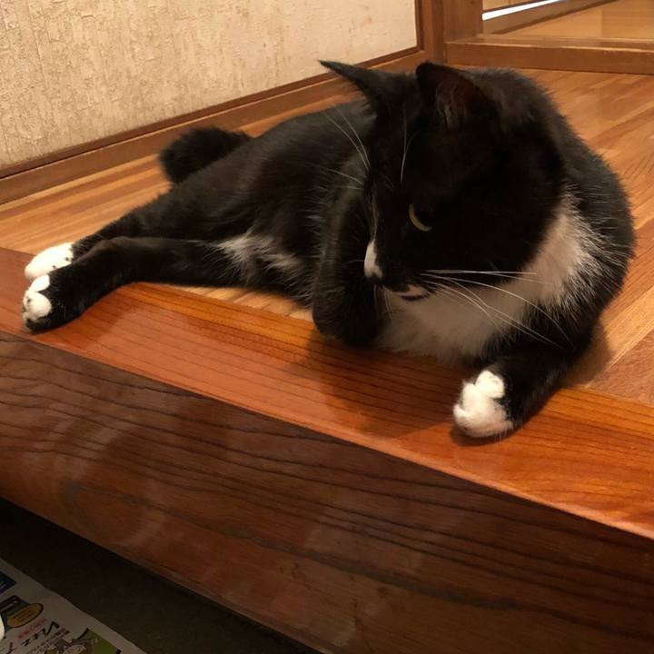 4e3508f4 86d7 4fd4 b4e5 862f2e88119f 1529552645432