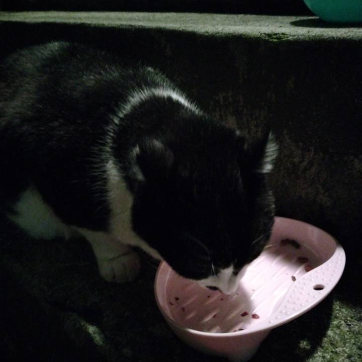 4e351a11 3bb7 4832 8be2 e4d5144b21e4 1703157144326