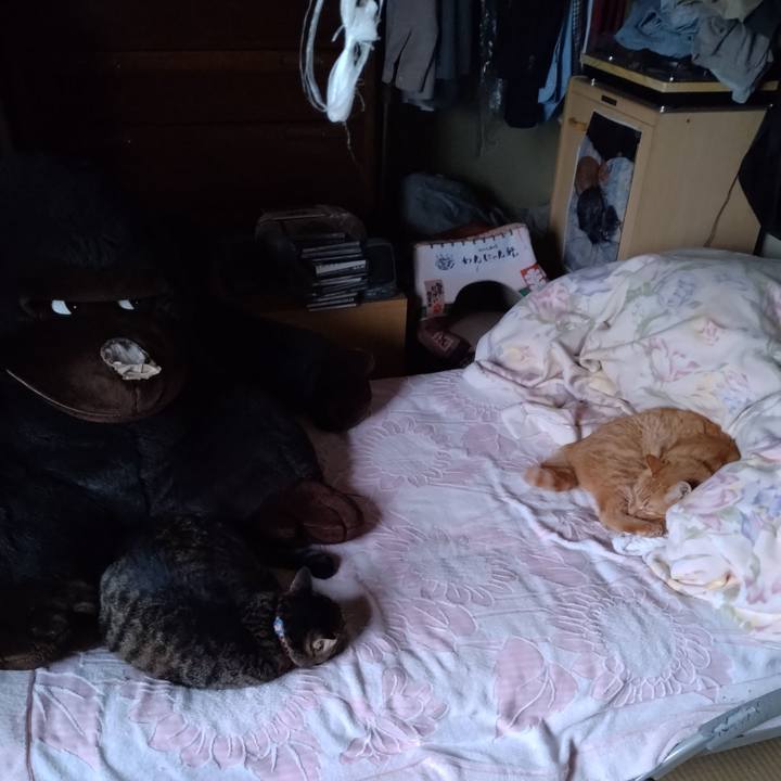 4e352dee 9222 4e3f 9bb8 511d1da2ac0a 1695886329242