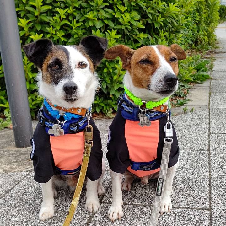 4e353ce2 fe09 44b1 a4e5 9b62ce7f29df 1623449798460