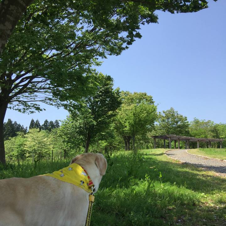 4e353d01 4a5f 4d9a afe2 ca1543714930 1525964063690