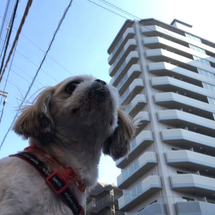 4e3556c3 970c 4afa 8674 40fb92da2f7c 1557352140477