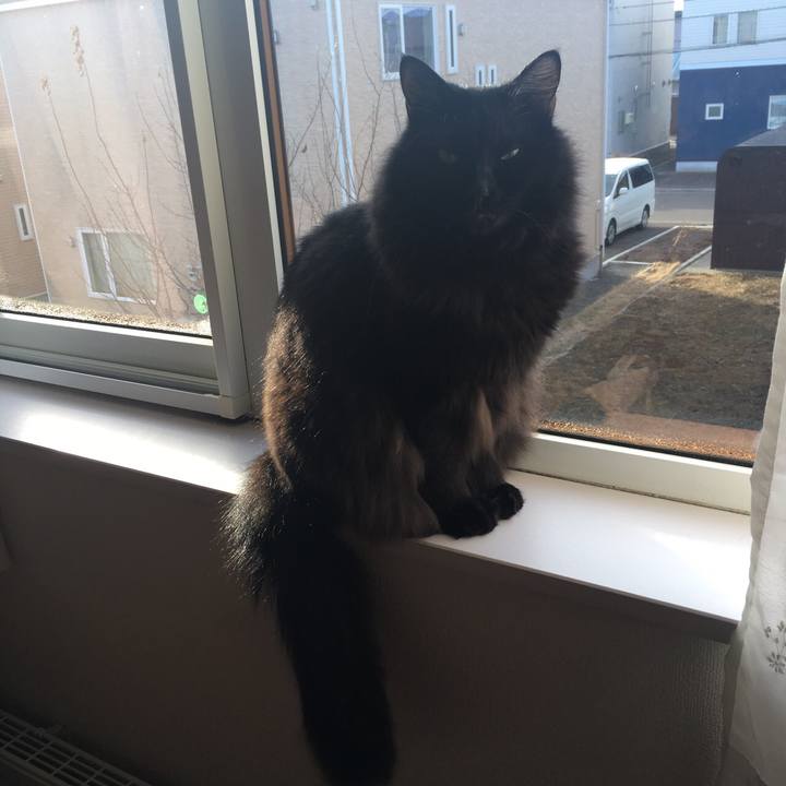 4e359a90 df87 48f2 b314 a3fccb01051b 1512274058817