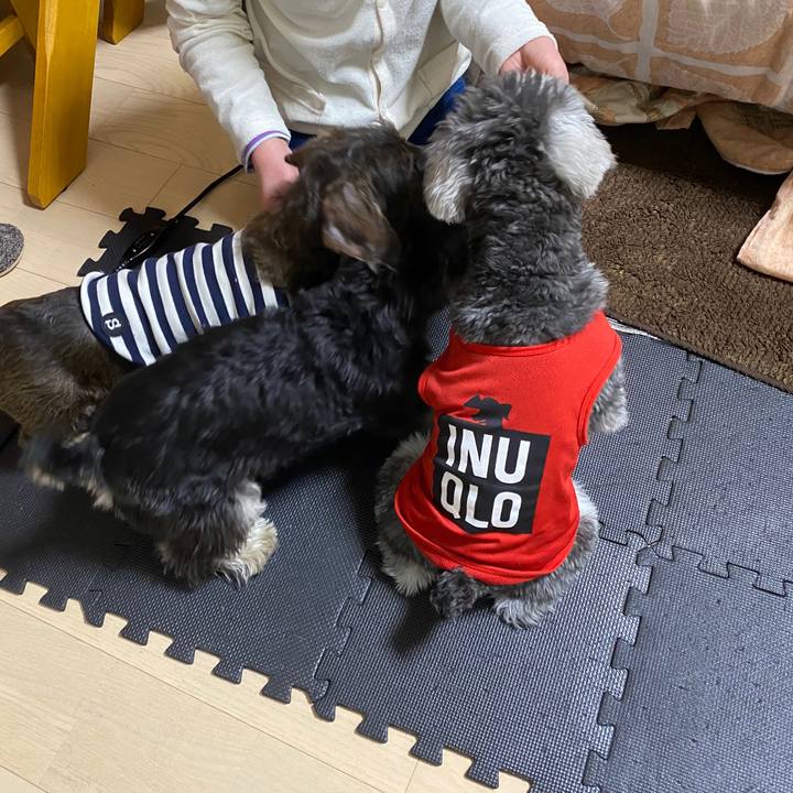 4e35bb29 13e5 44a7 b28d 33998765a6d9 1584700780374