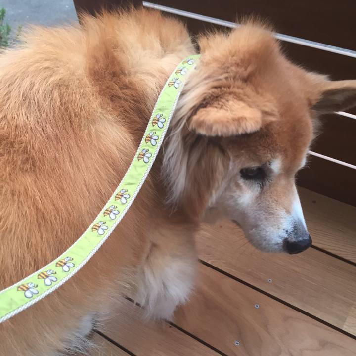 4e35c531 11c1 4d0a bc8d 39c7cf267bca 1510276923130