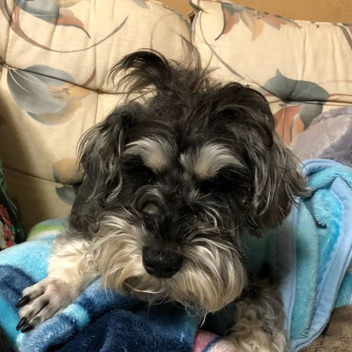 4e35d15e 5d07 4bb8 a3df 84ec6334526d 1524319290447