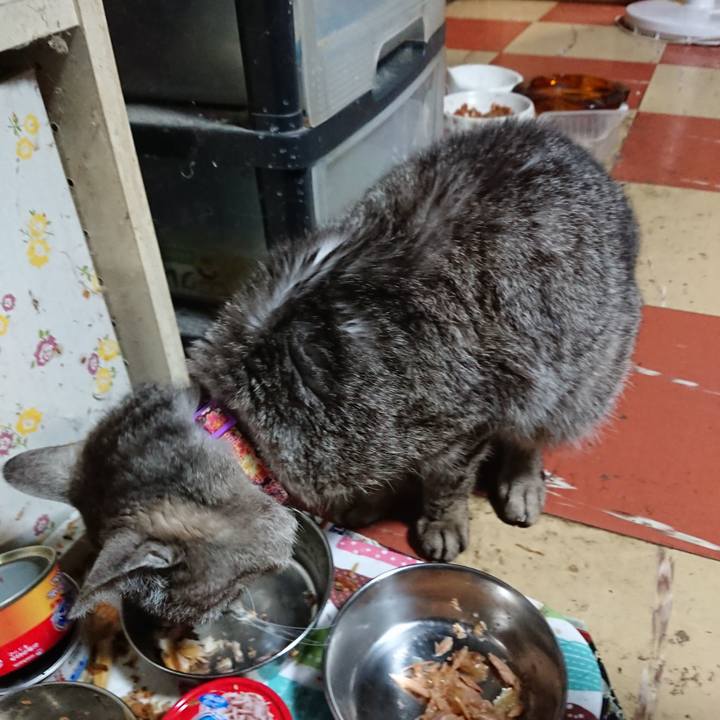 4e35d22f 33ee 45a7 a513 b0bfb3132a2d 1593341091132