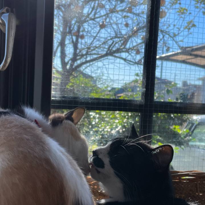 4e35dea3 44a6 4a2f a9a7 feec3f3c6d96 1700352095208