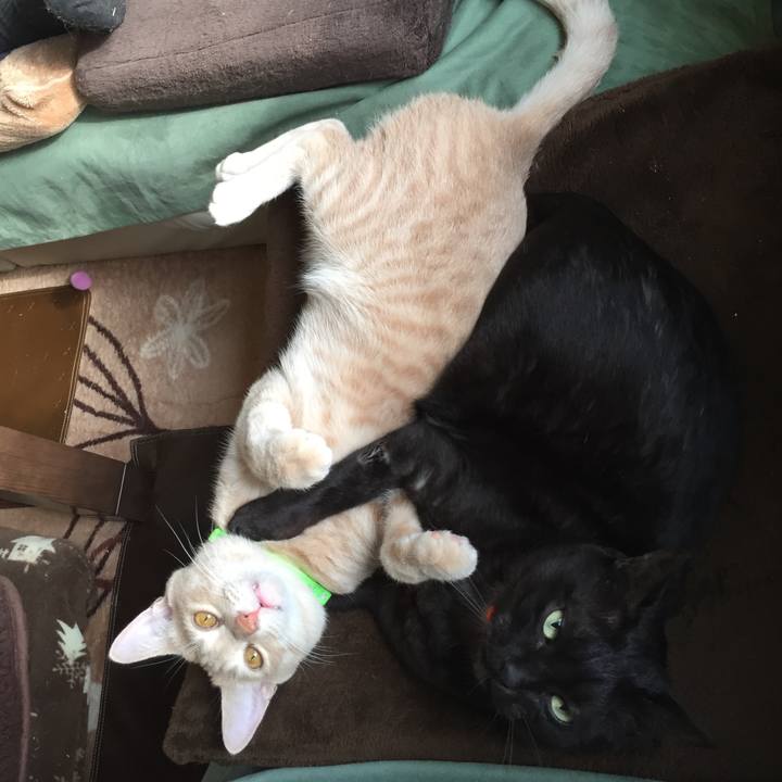 4e35e041 164e 4883 843d 9129467e4e62 1553172631442