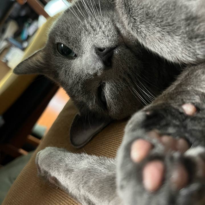 4e361df6 8cf5 4434 9047 4742e6d9d679 1713600016738