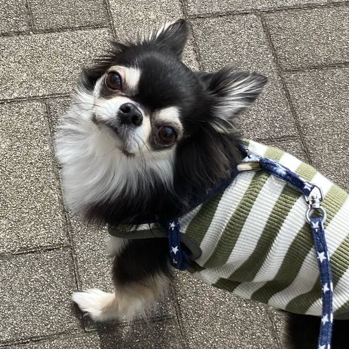 4e363cfa 1806 428e 8f2e 7fc48a83aad4 1651982640688