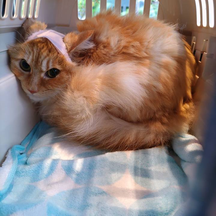 4e363e0b 4ae7 468f b301 96073785f313 1682818174714