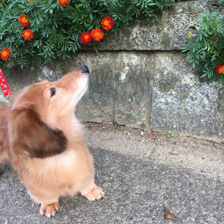 4e364b00 4129 451b a4e7 df4e3426b777 1633775905101