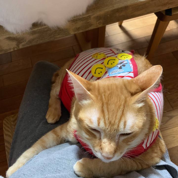 4e3651d6 6e03 4cac a42b 68854677cd21 1580744361043